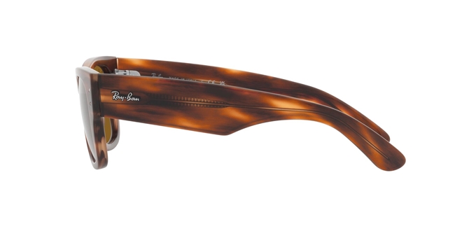 Óculos de Sol Ray-Ban Wayfarer Unissex