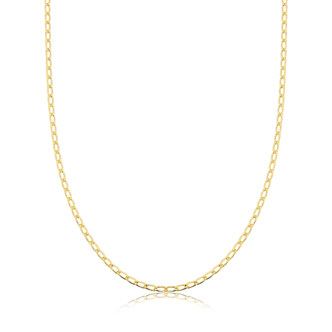 Corrente For me elo Groumet prata 925 banho dourado 60CM 1