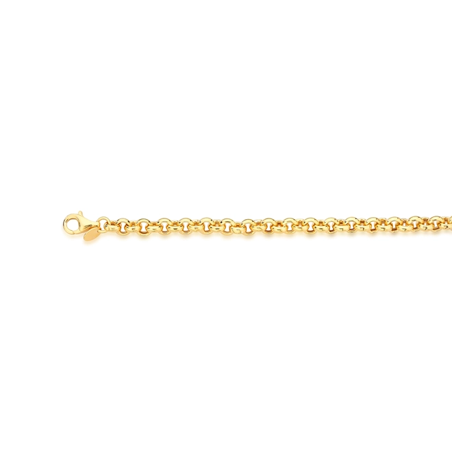 Pulseira For me elo Português prata 925 dourada 20CM 4