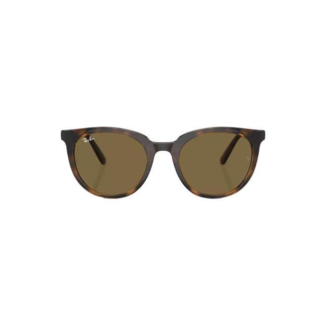 Óculos de Sol Ray-Ban 0RB4383L 710/7353 Acetato Marrom Mesclado com lentes na cor Marrom 2