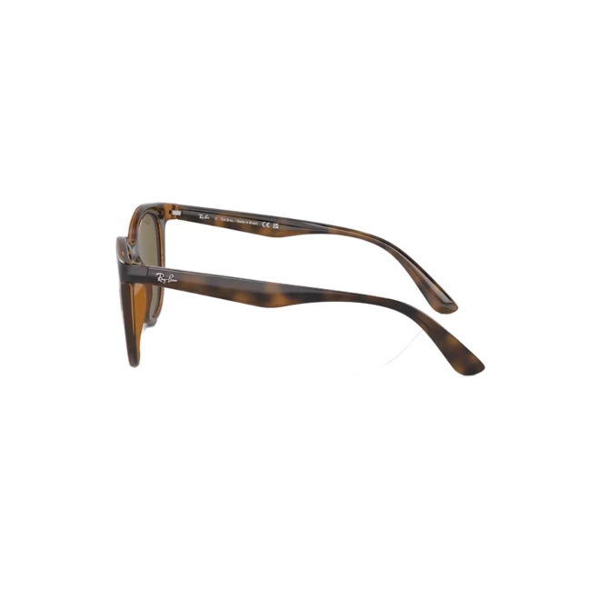 Óculos de Sol Ray-Ban 0RB4383L 710/7353 Acetato Marrom Mesclado com lentes na cor Marrom 4