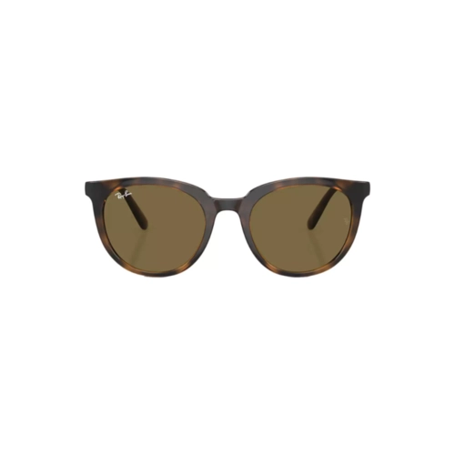 Óculos de Sol Ray-Ban 0RB4383L 710/7353 Acetato Marrom Mesclado com lentes na cor Marrom
