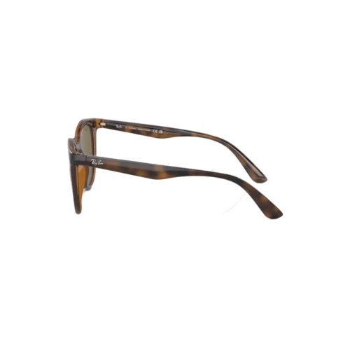 Óculos de Sol Ray-Ban 0RB4383L 710/7353 Acetato Marrom Mesclado com lentes na cor Marrom