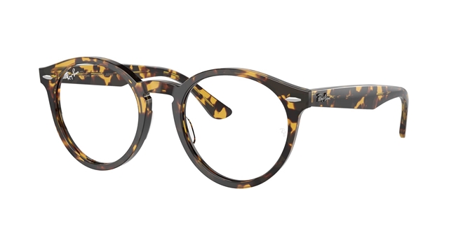 Ray ban best sale tortoiseshell glasses