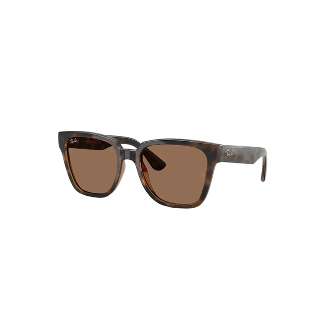 Óculos de Sol Ray-Ban 0RB4437L 710/7355 Acetato Marrom Mesclado com lentes na cor Marrom 1