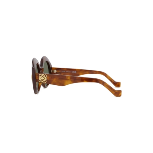 Óculos de Sol Loewe LW40146I_5053N Acetato Marrom Mesclado com lentes na cor Verde