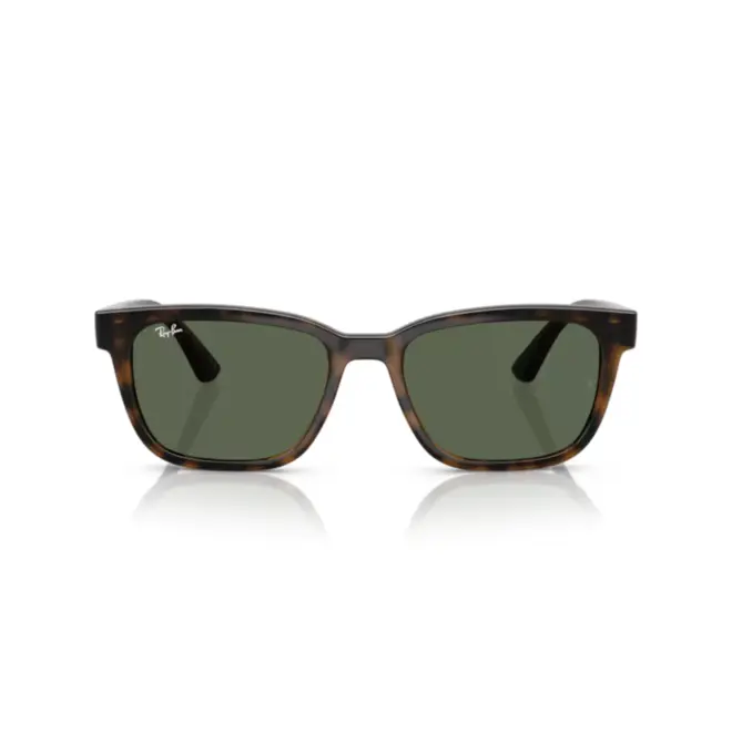 Óculos de Sol Ray-Ban 0RB4448L 710/7156 Acetato Marrom Mesclado com lentes na cor Verde 2