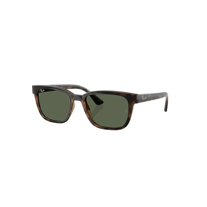 Óculos de Sol Ray-Ban 0RB4448L 710/7156 Acetato Marrom Mesclado com lentes na cor Verde 1
