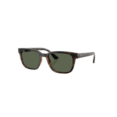 Óculos de Sol Ray-Ban 0RB4448L 710/7156 Acetato Marrom Mesclado com lentes na cor Verde