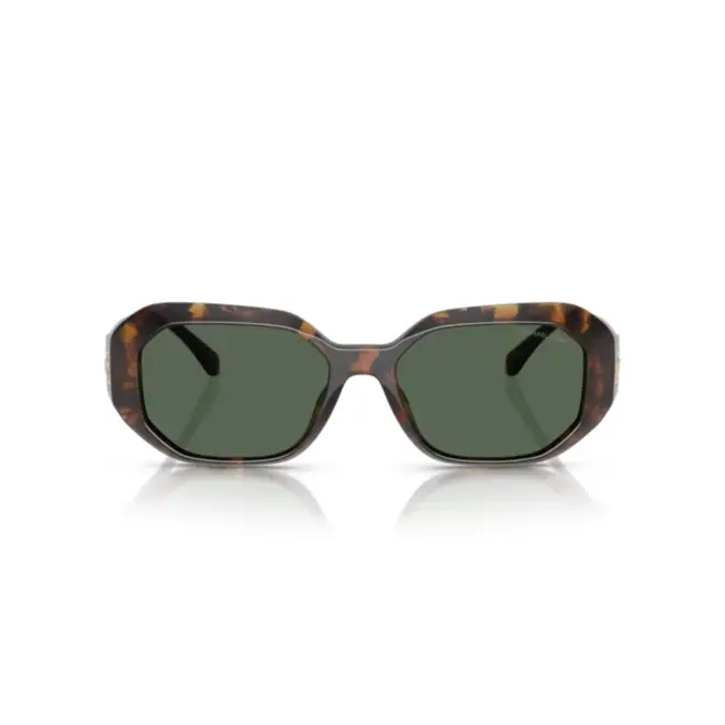 Óculos de Sol Michael Kors 0MK2240U 30067154 Acetato Marrom Mesclado com lentes na cor Verde 2