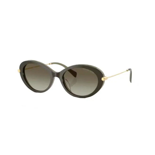 Óculos de Sol Michael Kors 0MK2245U 40193M53 Acetato Verde com lentes na cor Verde Degradê 1