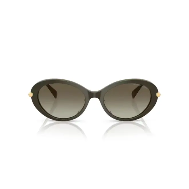 Óculos de Sol Michael Kors 0MK2245U 40193M53 Acetato Verde com lentes na cor Verde Degradê 2