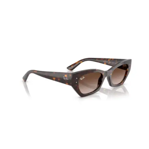 親株3株　RCN−004 RCN−005 RCN−007 Óculos de Sol Ray-Ban Zena Unissex