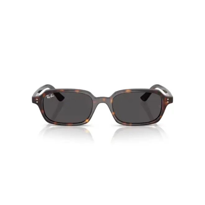 Óculos de Sol Ray-Ban Zuri 0RB4455 13598752 Acetato Marrom Mesclado com lentes na cor Cinza 2