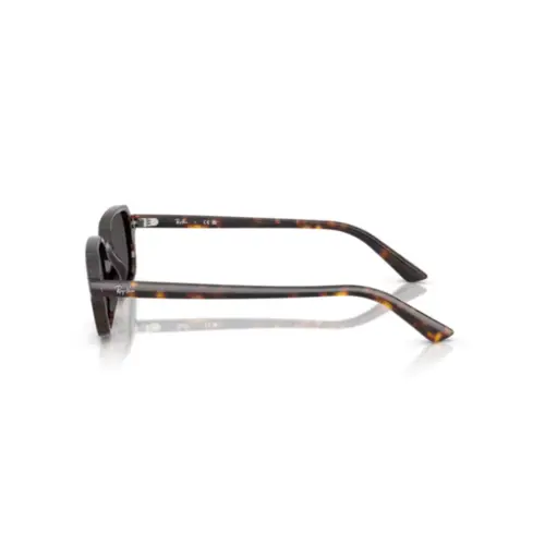 Óculos de Sol Ray-Ban Zuri 0RB4455 13598752 Acetato Marrom Mesclado com lentes na cor Cinza