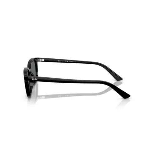 Óculos de Sol Ray-Ban Zaya 0RB4456 66778153 Acetato Preto com lentes na cor Cinza Polarizado