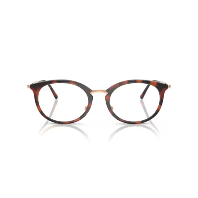 Óculos de Grau Ray-Ban 0RX7255 5687 53 Nylon Marrom Mesclado 2