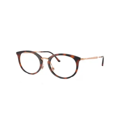 Óculos de Grau Ray-Ban 0RX7255 5687 53 Nylon Marrom Mesclado