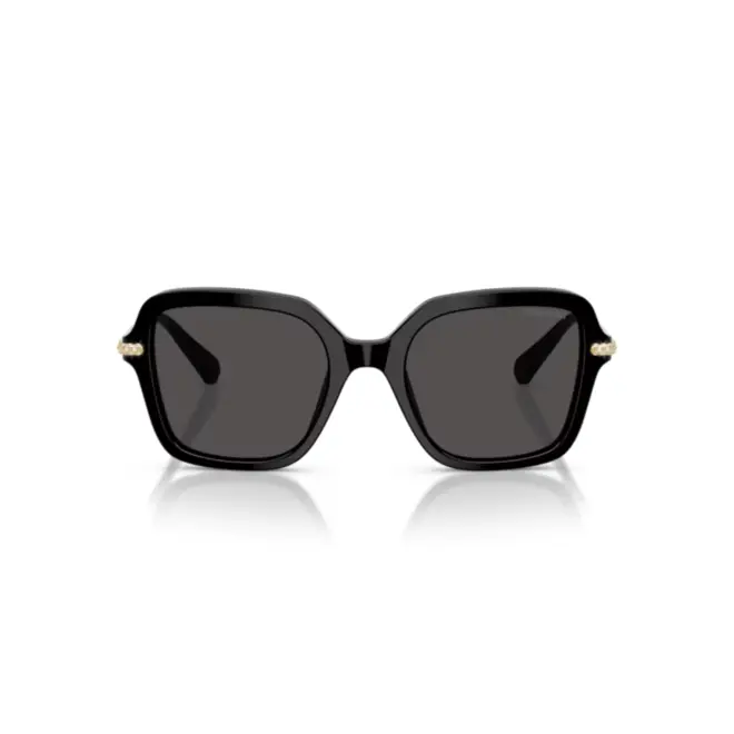 Óculos de Sol Swarovski 0SK6040 10018750 Acetato Preto com lentes na cor Cinza 2