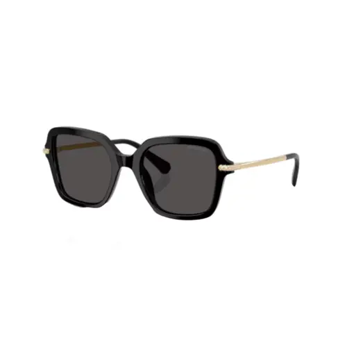Óculos de Sol Swarovski 0SK6040 10018750 Acetato Preto com lentes na cor Cinza