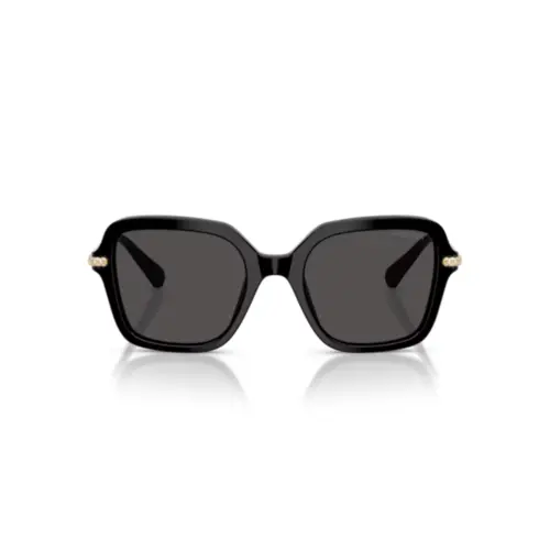 Óculos de Sol Swarovski 0SK6040 10018750 Acetato Preto com lentes na cor Cinza