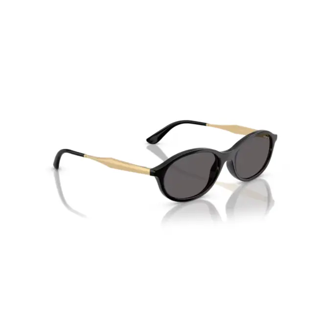 Óculos de Sol Vogue 0VO5625S W44/8752 Nylon Preto com lentes na cor Fumê 3