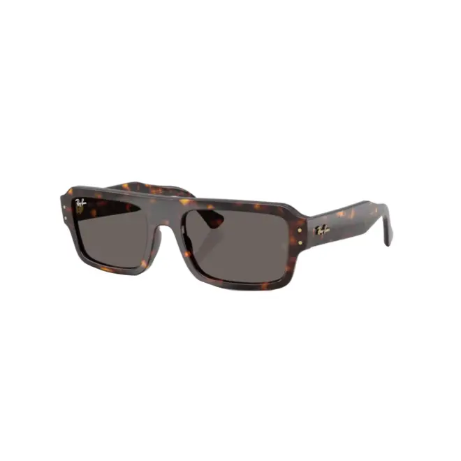 Óculos de Sol Ray-Ban Lukas 0RB4454 1359B156 Acetato Marrom Mesclado com lentes na cor Cinza 1