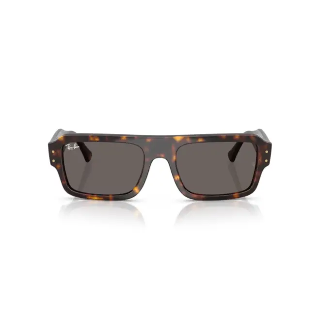 Óculos de Sol Ray-Ban Lukas 0RB4454 1359B156 Acetato Marrom Mesclado com lentes na cor Cinza 2