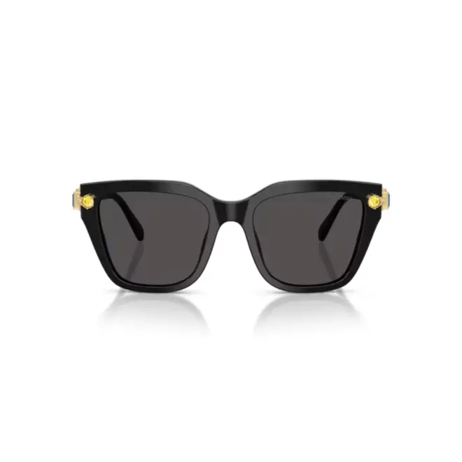 Óculos de Sol Swarovski 0SK6041 10018753 Acetato Preto com lentes na cor Cinza 2