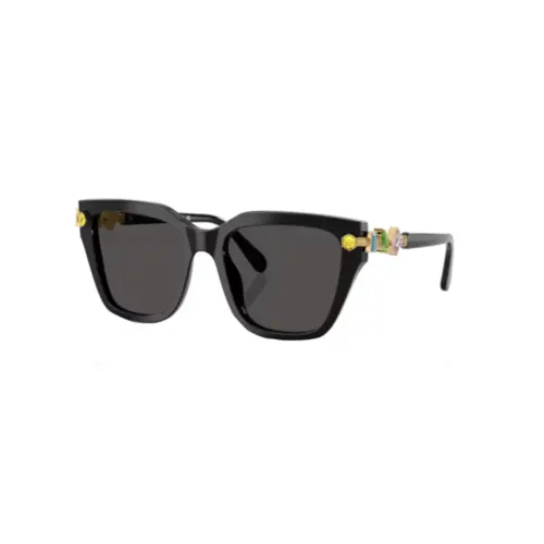 Óculos de Sol Swarovski 0SK6041 10018753 Acetato Preto com lentes na cor Cinza