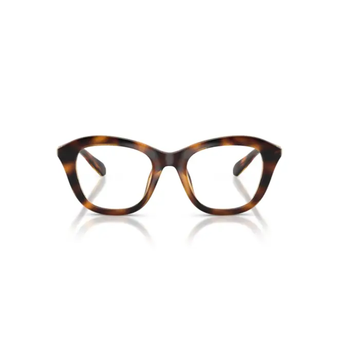 Óculos de Grau Swarovski 0SK2042U 1002 50 Acetato Marrom Mesclado 2