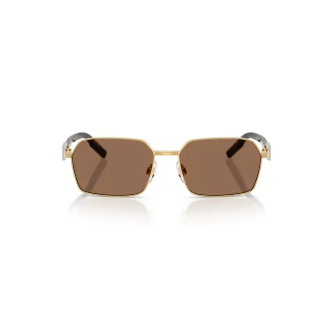 Óculos de Sol Dolce & Gabbana 0DG2316 02/73 56 Metal Dourado com lentes na cor Marrom 2