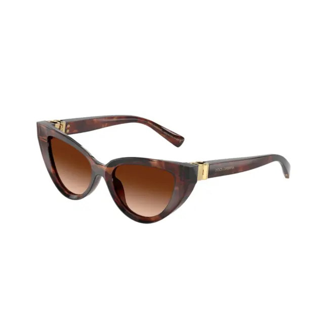 Óculos de Sol Dolce & Gabbana 0DG4497 32227452 Acetato Marrom Mesclado com lentes na cor Marrom Degradê 1