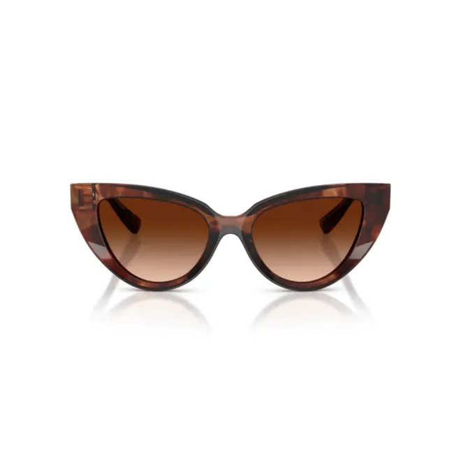 Óculos de Sol Dolce & Gabbana 0DG4497 32227452 Acetato Marrom Mesclado com lentes na cor Marrom Degradê 2