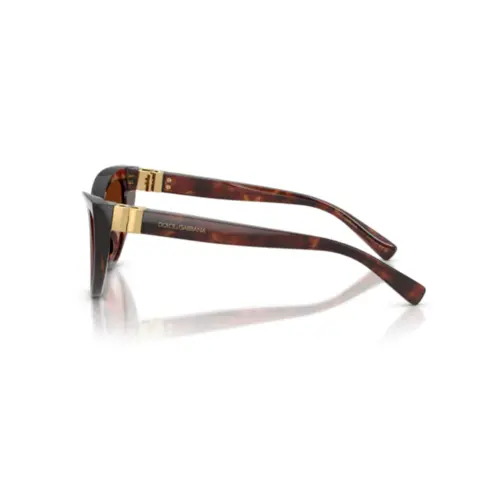 Óculos de Sol Dolce & Gabbana 0DG4497 32227452 Acetato Marrom Mesclado com lentes na cor Marrom Degradê