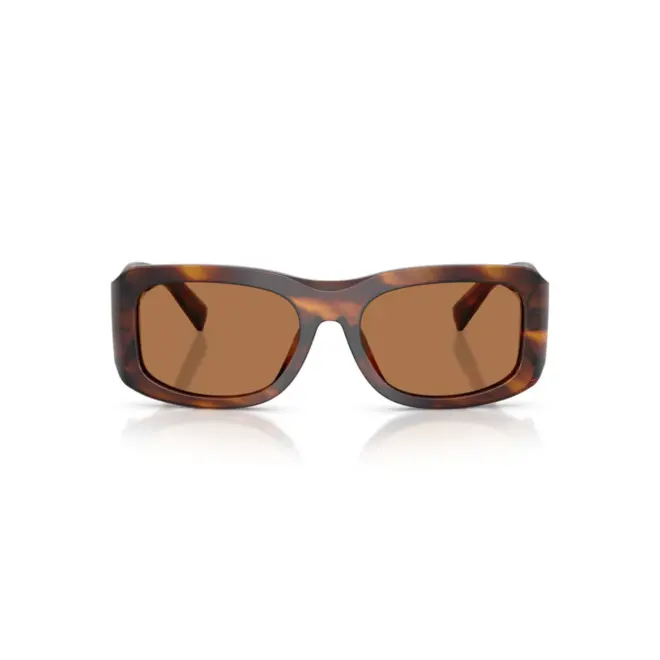 Óculos de Sol Dolce & Gabbana 0DG4503 30637357 Acetato Marrom Mesclado com lentes na cor Marrom 2