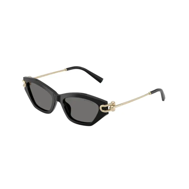 Óculos de Sol Tiffany 0TF4231U 80018153 Acetato Preto com lentes na cor Cinza Polarizado 1