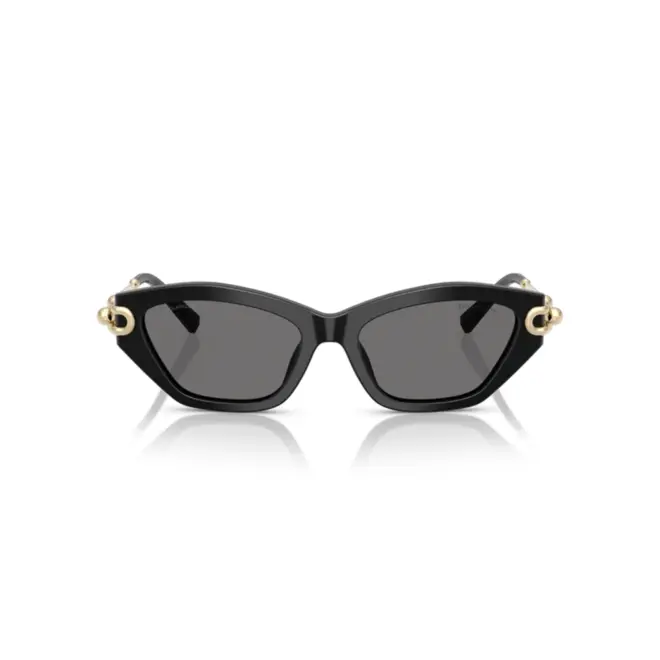 Óculos de Sol Tiffany 0TF4231U 80018153 Acetato Preto com lentes na cor Cinza Polarizado 2