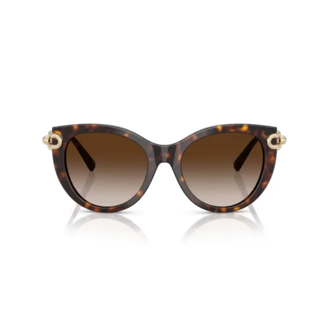 Óculos de Sol Tiffany 0TF4232 80153B53 Acetato Marrom Mesclado com lentes na cor Marrom Degradê 2