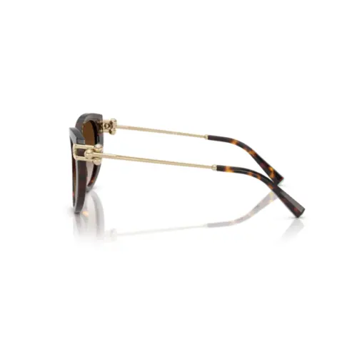 Óculos de Sol Tiffany 0TF4232 80153B53 Acetato Marrom Mesclado com lentes na cor Marrom Degradê