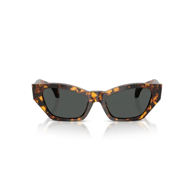 Óculos de Sol Versace 0VE4488U 55148753 Acetato Marrom Mesclado com lentes na cor Cinza 2