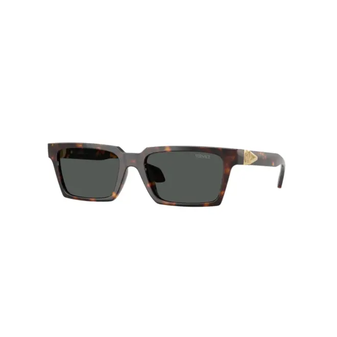 Óculos de Sol Versace 0VE4490U 108/8755 Acetato Marrom Mesclado com lentes na cor Cinza 1