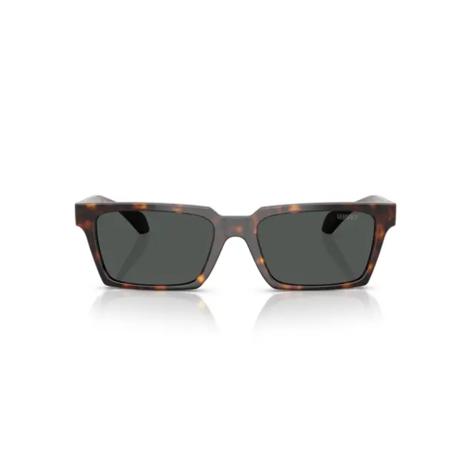 Óculos de Sol Versace 0VE4490U 108/8755 Acetato Marrom Mesclado com lentes na cor Cinza 2