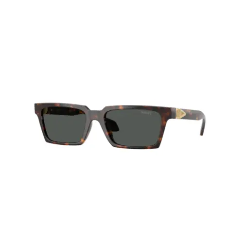 Óculos de Sol Versace 0VE4490U 108/8755 Acetato Marrom Mesclado com lentes na cor Cinza