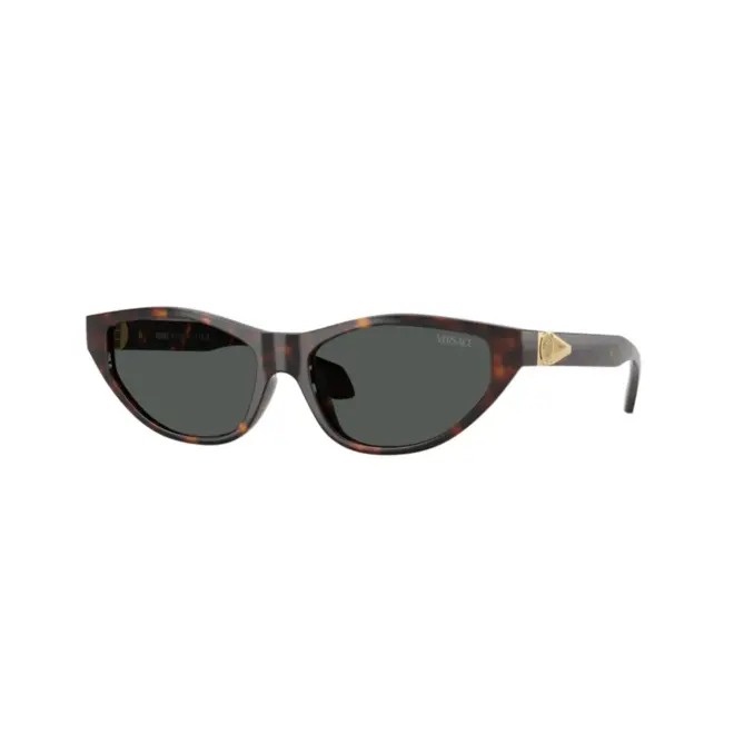 Óculos de Sol Versace 0VE4491U 108/8755 Acetato Marrom Mesclado com lentes na cor Cinza 1
