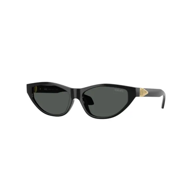Óculos de Sol Versace 0VE4491U GB1/8755 Acetato Preto com lentes na cor Cinza 1