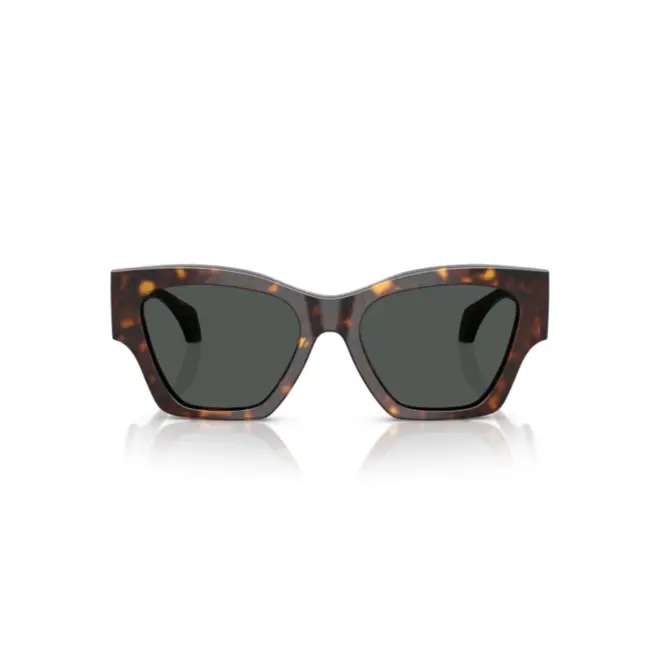 Óculos de Sol Versace 0VE4492U 108/8753 Acetato Marrom Mesclado com lentes na cor Cinza 2
