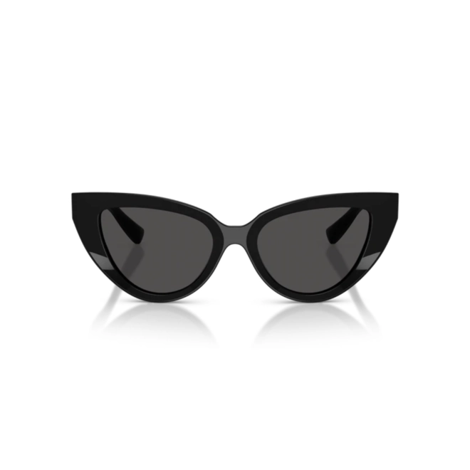 Óculos de Sol Dolce & Gabbana 0DG4497 501/8752 Acetato Preto com lentes na cor Cinza 2