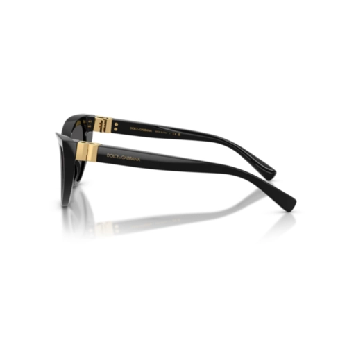 Óculos de Sol Dolce & Gabbana 0DG4497 501/8752 Acetato Preto com lentes na cor Cinza