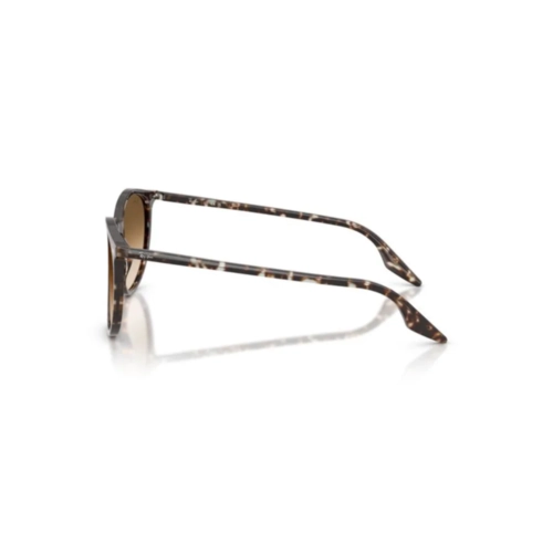 Óculos de Sol Ray-Ban 0RB2204 14315154 Acetato Marrom Mesclado com lentes na cor Marrom Degradê